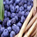 blueberries2