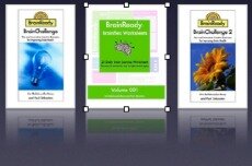 brainflexbooks_icon