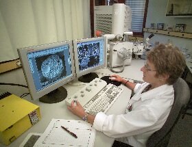 NRC_microscopy03