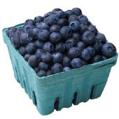 blueberries_pic